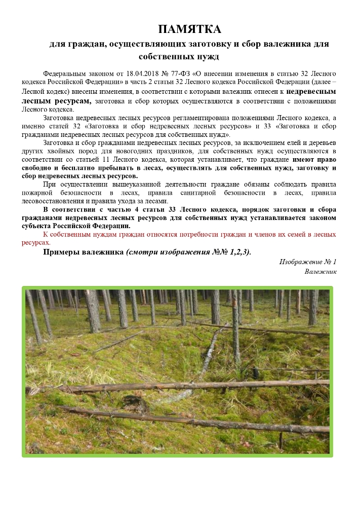 ПАМЯТКА для граждан, осуществляющих заготовку и сбор валежника для собственных нужд