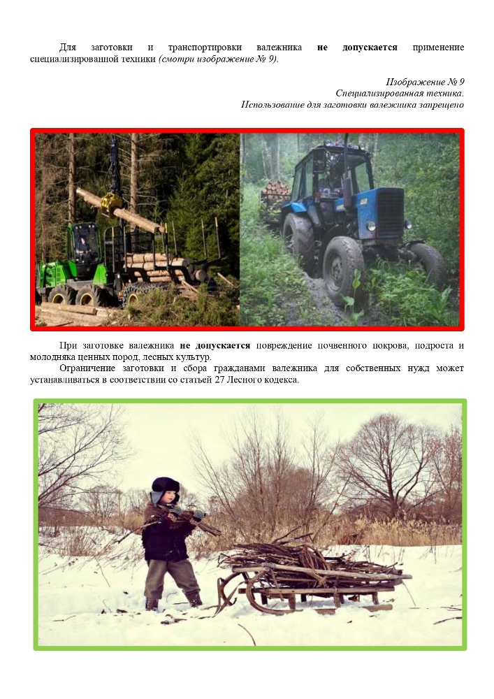 ПАМЯТКА для граждан, осуществляющих заготовку и сбор валежника для собственных нужд